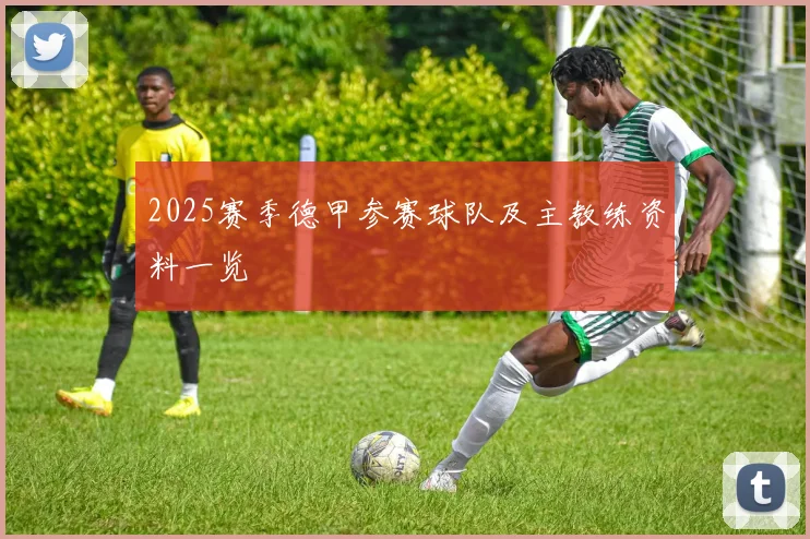 2025赛季德甲参赛球队及主教练资料一览