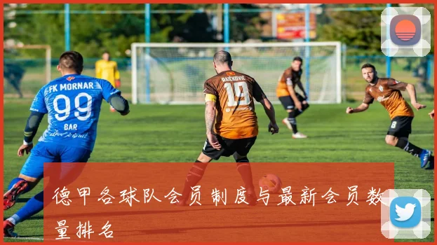 德甲各球队会员制度与最新会员数量排名