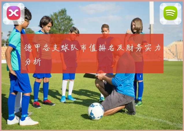 德甲各支球队市值排名及财务实力分析
