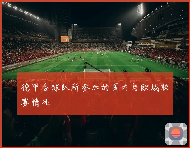 德甲各球队所参加的国内与欧战联赛情况